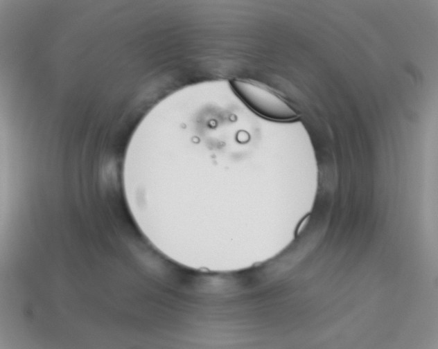 X0000113360286200910131306