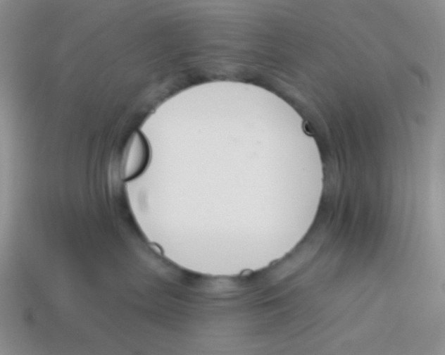 X0000113360287200910131307