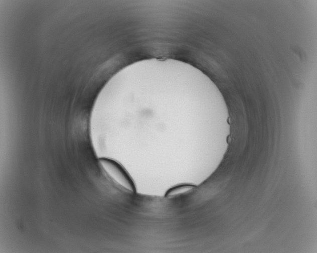 X0000113360288200910131307