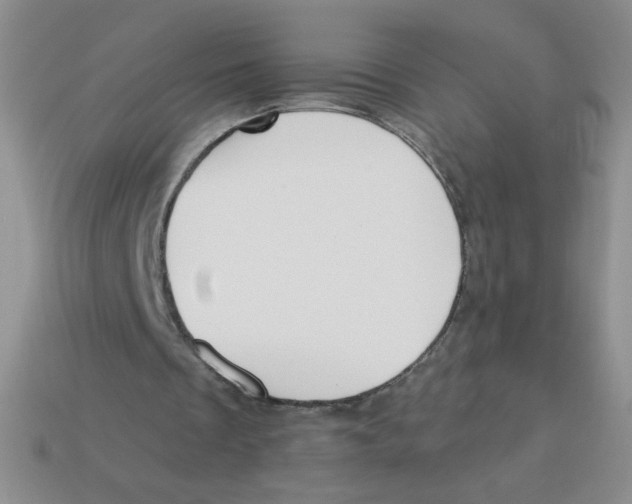 X0000113360289200910131306