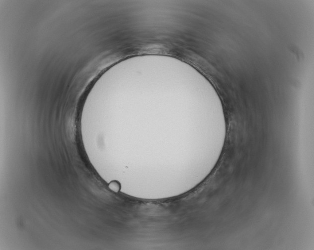 X0000113360290200910131306