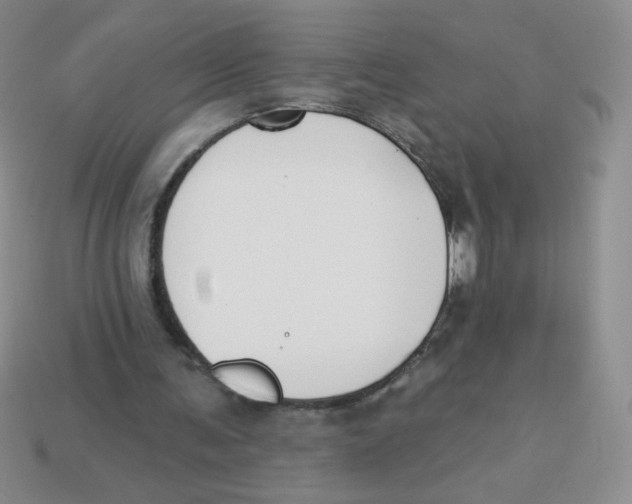 X0000113360291200910131306