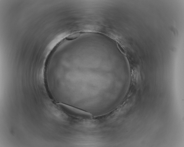 X0000113360292200910131306