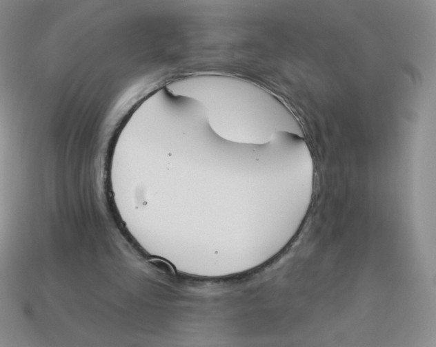X0000113360293200910131306