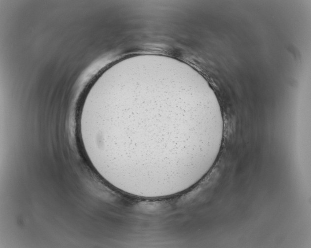 X0000113360294200910131306