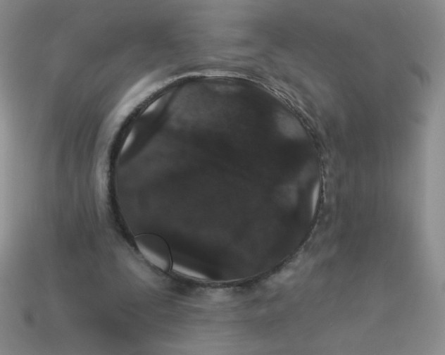 X0000113360295200910131306