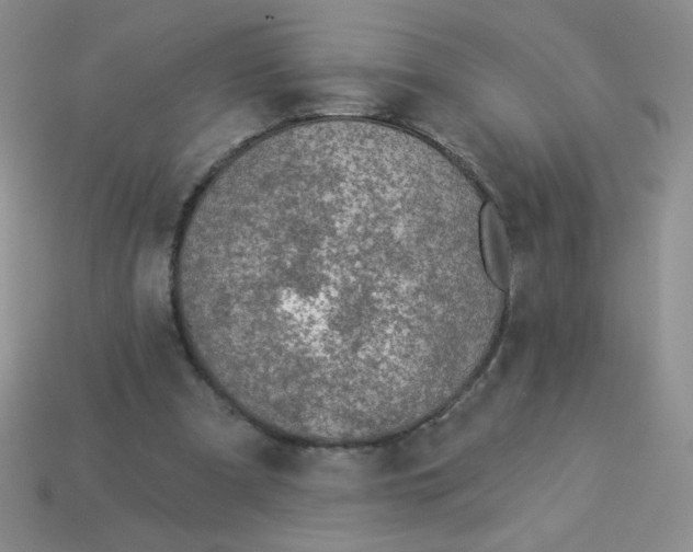 X0000113360297200910131306