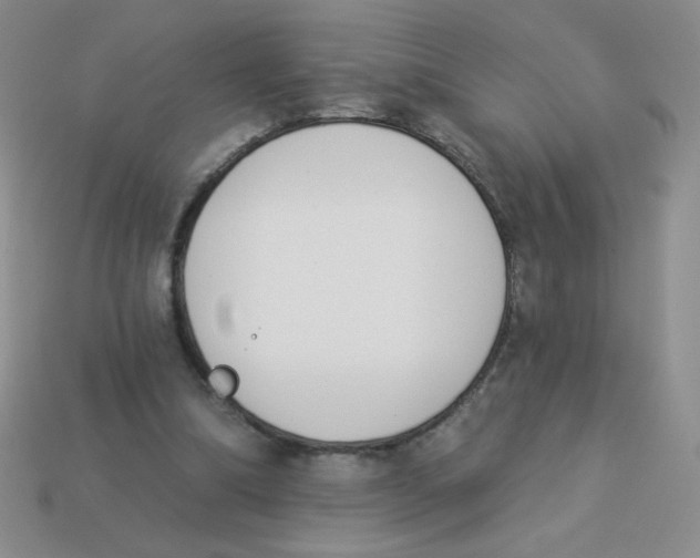 X0000113360298200910131306