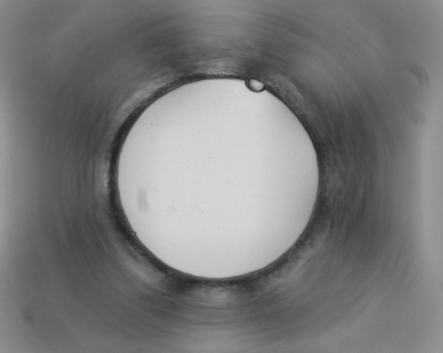 X0000113360299200910131306