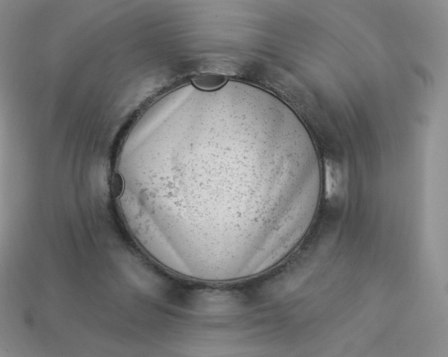 X0000113360300200910131306