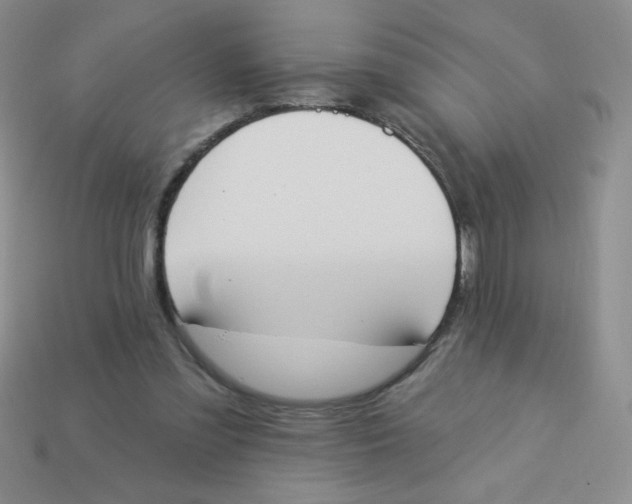 X0000113360301200910131306