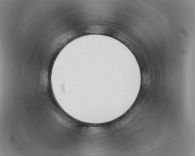 X0000113360302200910131306