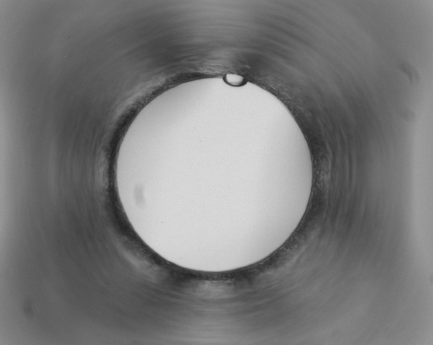 X0000113360303200910131306