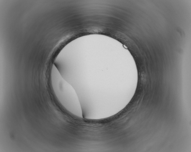 X0000113360304200910131306