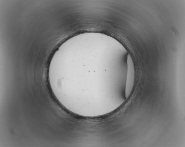 X0000113360305200910131306