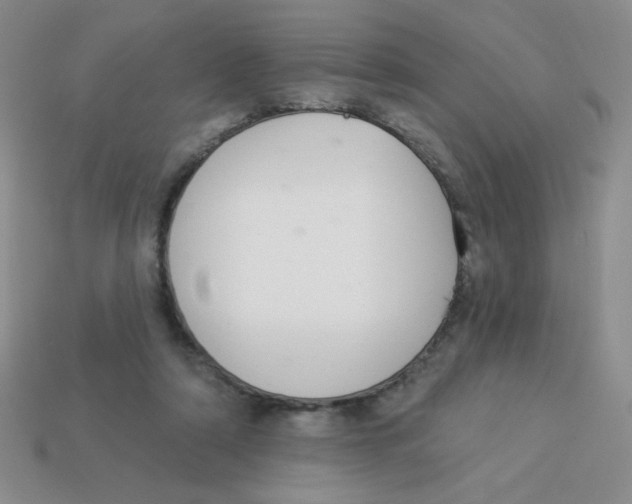 X0000113360306200910131306