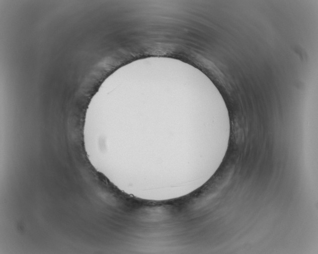 X0000113360307200910131306