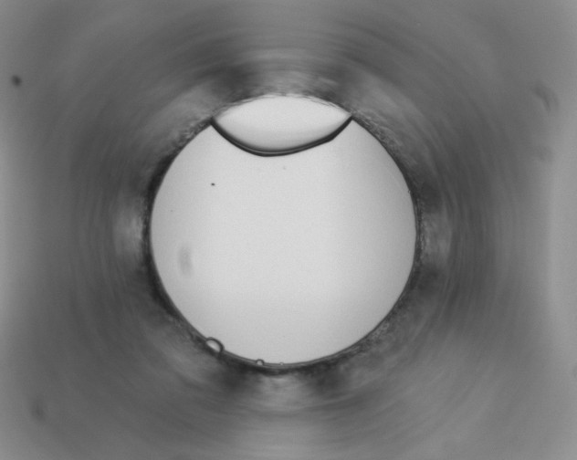 X0000113360309200910131306