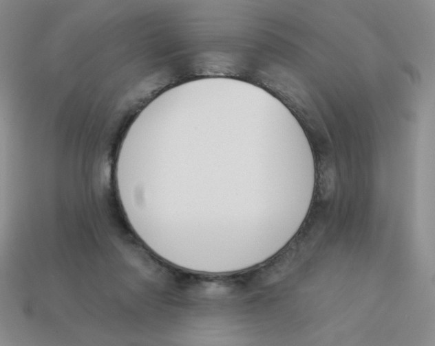 X0000113360310200910131306