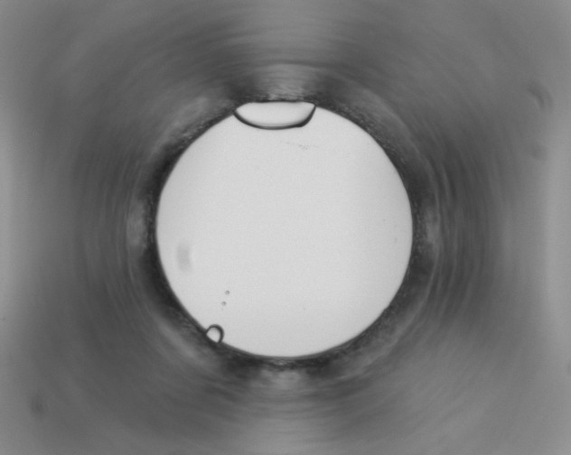 X0000113360311200910131306