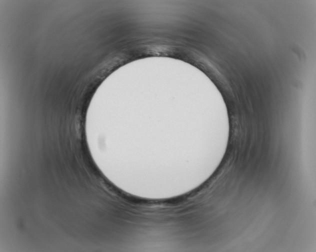 X0000113360313200910131306