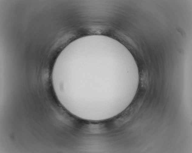 X0000113360314200910131306