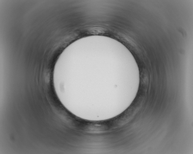 X0000113360315200910131306