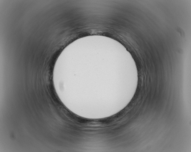 X0000113360316200910131306
