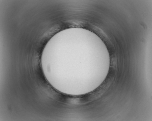 X0000113360318200910131306