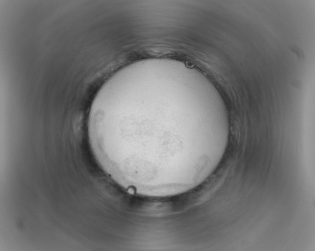 X0000113360319200910131306