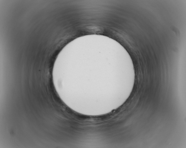 X0000113360320200910131306