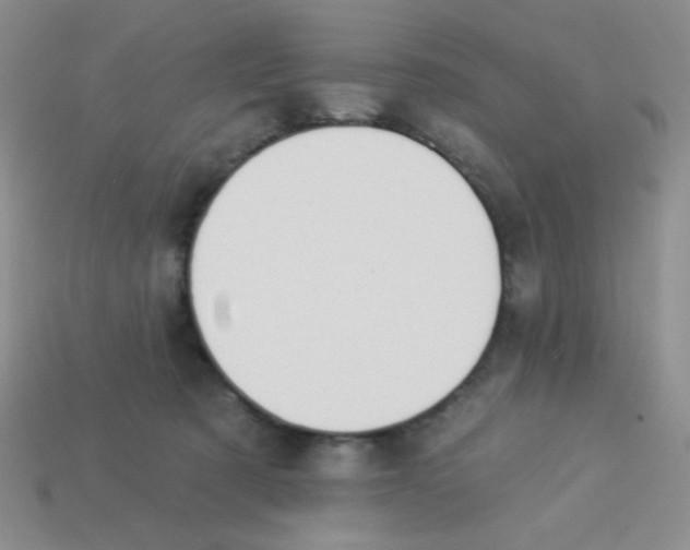 X0000113360321200910131305