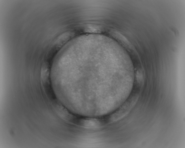X0000113360322200910131305