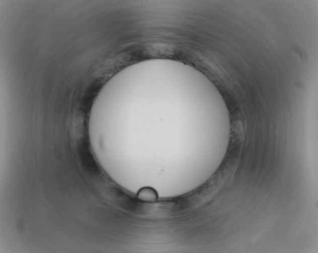 X0000113360323200910131305