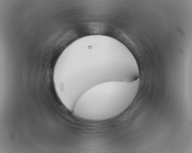 X0000113360325200910131305