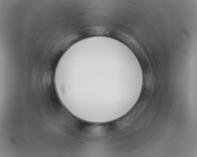 X0000113360326200910131305