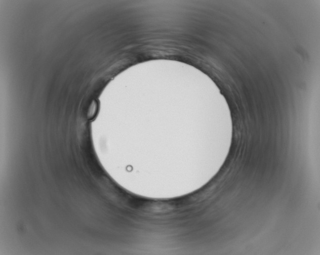 X0000113360327200910131305