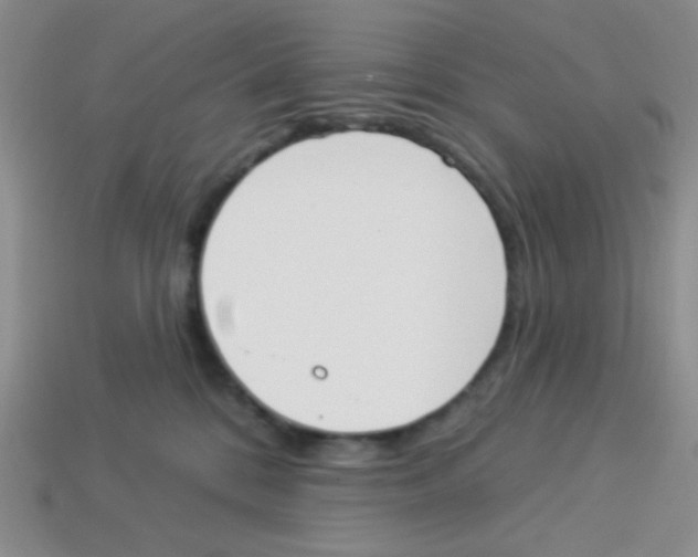 X0000113360328200910131305