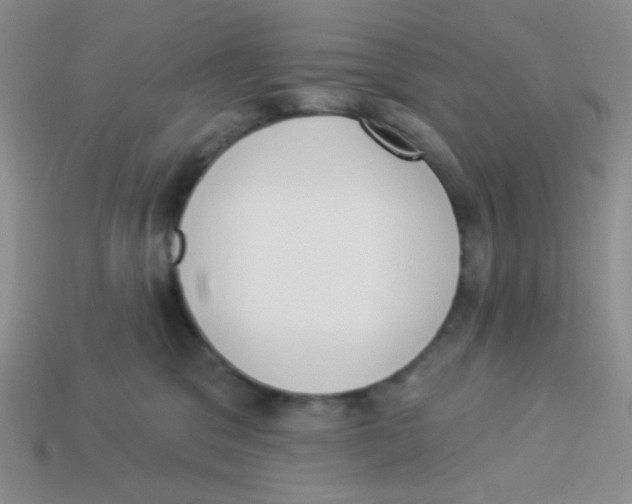 X0000113360329200910131305