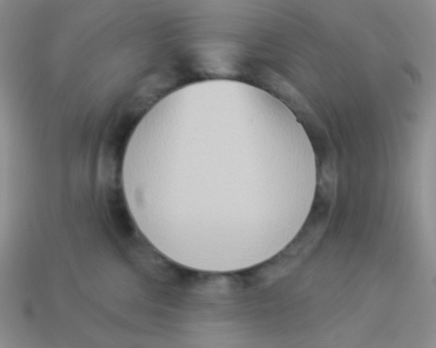 X0000113360330200910131305