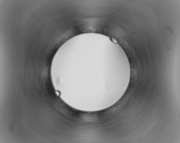 X0000113360331200910131305