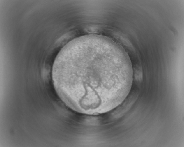 X0000113360332200910131305