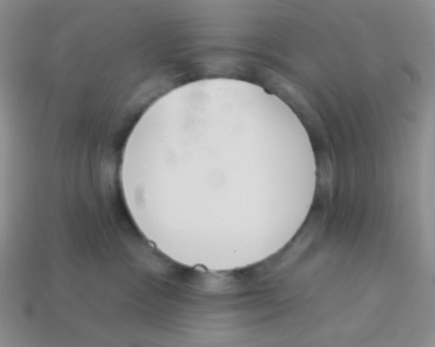 X0000113360333200910131305