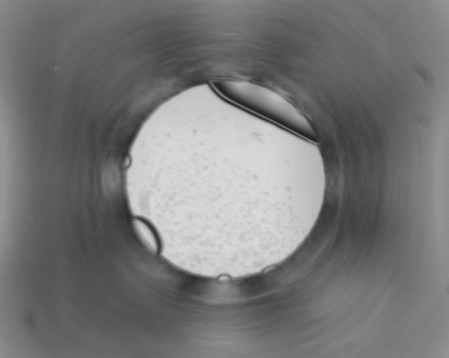 X0000113360335200910131305