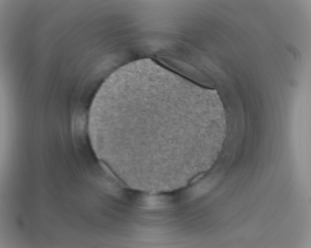 X0000113360336200910131305