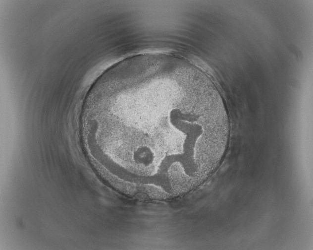 X0000113360337200910131305