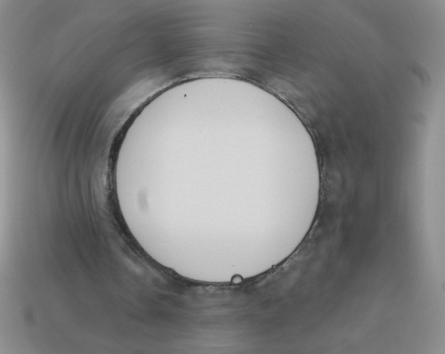 X0000113360338200910131305
