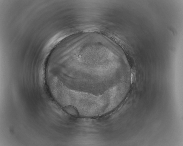X0000113360339200910131305