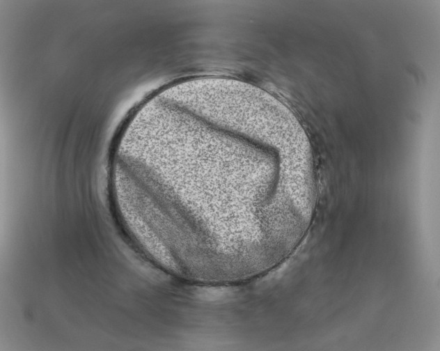 X0000113360342200910131305