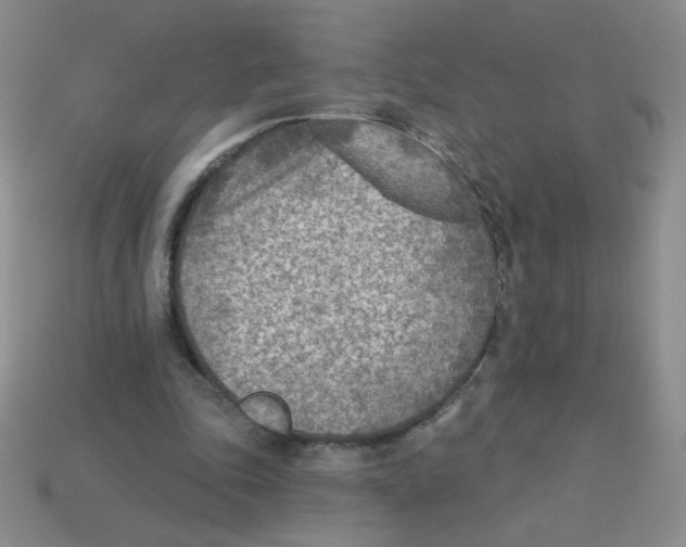 X0000113360343200910131305